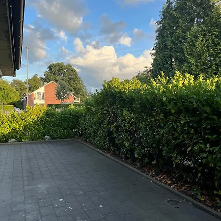 Guest 1 * كفيكبورن